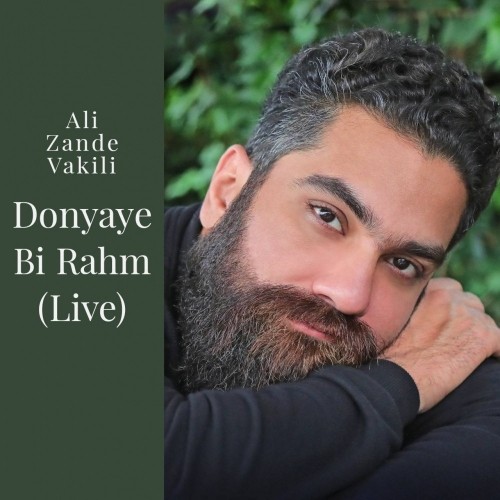 دانلود آهنگ جدید علی زند وکیلی به نام دنیای بی رحم (اجرای زنده)