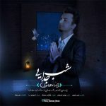 دانلود آهنگ جدید رضا هامون به نام شب جدایی