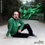 دانلود آهنگ جدید شهرام جعفري به نام عشق خيابوني